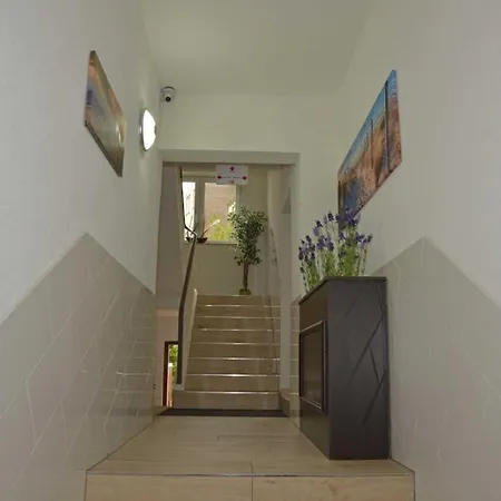 Neptuns Ankerplatz & Zur Seerobbe 3*